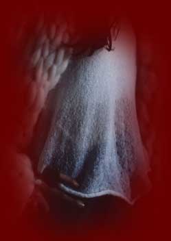 zur Kollektion AmaFee